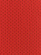 Детская манишка FN Focused Kid Red