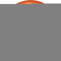 Мяч баск. WILSON NBA Authentic, WTB7300XB05, р.5, резина, оранжевый