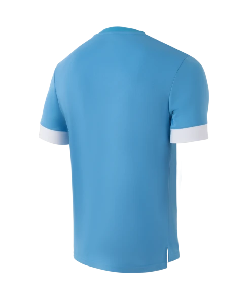 Футболка игровая JOGEL DIVISION PerFormDRY Union Jersey, голубой/белый/белый