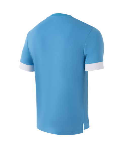 Футболка игровая JOGEL DIVISION PerFormDRY Union Jersey, голубой/белый/белый