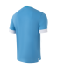 Футболка игровая JOGEL DIVISION PerFormDRY Union Jersey, голубой/белый/белый