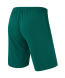 Шорты игровые JOGEL CAMP Classic Shorts, темно-зеленый