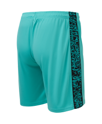 Шорты игровые JOGEL AMKAL PerFormDRY Shorts, бирюзовый/черный