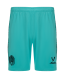 Шорты игровые JOGEL AMKAL PerFormDRY Shorts, бирюзовый/черный
