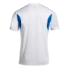 Футболка игровая JOMA WINNER III 103150.207