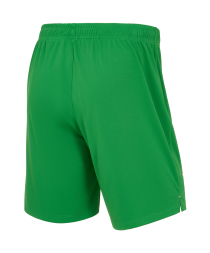 Шорты вратарские JOGEL PREMIER PerFormDRY Spartak GK Shorts Green, зеленый