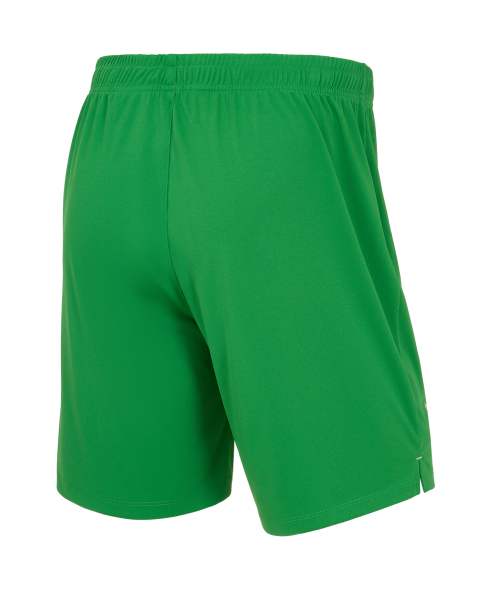 Шорты вратарские JOGEL PREMIER PerFormDRY Spartak GK Shorts Green, зеленый