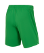 Шорты вратарские JOGEL PREMIER PerFormDRY Spartak GK Shorts Green, зеленый