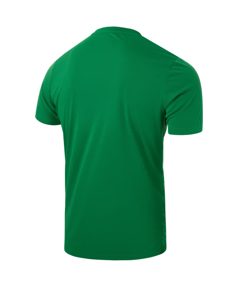 Футболка вратарская JOGEL DIVISION PerFormDRY SPLASH GK Jersey, зеленый