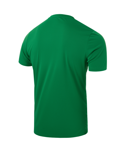 Футболка вратарская JOGEL DIVISION PerFormDRY SPLASH GK Jersey, зеленый