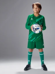 Детская вратарская форма KELME Long Sleeve Goalkeeper Suit Green