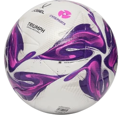 Мяч футбольный JOGEL Triumph Elite WSL №5 (РФС ПРО)