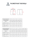 Шорты парадные JOGEL PREMIER PerFormDRY Spartak Woven Shorts, черный