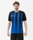 Футболка игровая JOGEL CAMP Striped Jersey, синий/черный
