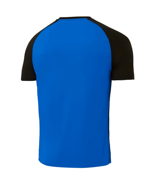 Футболка игровая JOGEL CAMP Striped Jersey, синий/черный